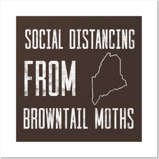 Social Distancing from Browntail Moths in Maine Posters and Art